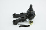 Febest 0420-PD8LRH Front Lower Ball Joint Right