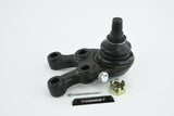 Febest 0420-PD8LRH Front Lower Ball Joint Right