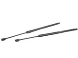 GM OEM 23283648 Liftgate Strut Drive (Left) Side