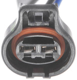 APDTY 134917 Radiator Fan Assembly Without Controller