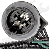 APDTY 135376 Rear Right Tail Turn Brake & Backup Light Wire Harness w/ Sockets