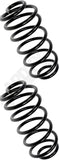 APDTY 144329 Coil Springs Replaces 22729259, 2581162