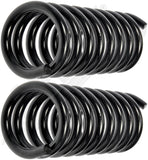 APDTY 144334 Coil Springs Replaces 10412898