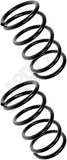 APDTY 144337 Coil Springs Replaces 4823100000, 4823142110