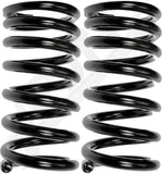 APDTY 144342 Coil Springs