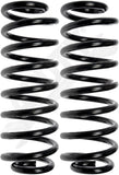 APDTY 144345 Coil Springs Replaces 25783731, 25783732