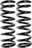 APDTY 144346 Coil Springs Replaces 911053F70