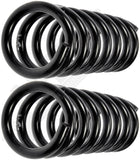 APDTY 144346 Coil Springs Replaces 911053F70