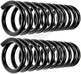 APDTY 144357 Coil Springs Replaces 3955717, 397906