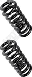 APDTY 144358 Coil Springs Replaces 3817998, 3935894