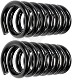 APDTY 144358 Coil Springs Replaces 3817998, 3935894