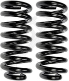 APDTY 144358 Coil Springs Replaces 3817998, 3935894