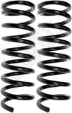 APDTY 144367 Coil Springs Replaces D9AC5310GA, D9AC5310JA