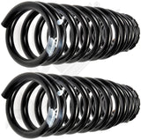APDTY 144369 Coil Springs