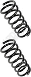 APDTY 144370 Coil Springs Replaces 48231AE041