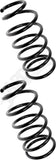 APDTY 144371 Coil Springs Replaces 4823135281