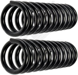 APDTY 144372 Coil Springs Replaces 3952818, 400881