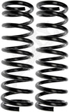 APDTY 144375 Coil Springs Replaces 9781169, 9796979