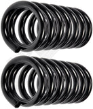 APDTY 144376 Coil Springs Replaces 3817997, 3935893