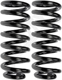APDTY 144376 Coil Springs Replaces 3817997, 3935893