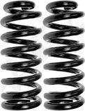 APDTY 144378 Coil Springs Replaces 328099, 328100