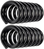APDTY 144378 Coil Springs Replaces 328099, 328100