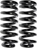APDTY 144378 Coil Springs Replaces 328099, 328100