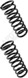 APDTY 144382 Coil Springs