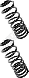 APDTY 144384 Coil Springs