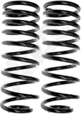 APDTY 144384 Coil Springs