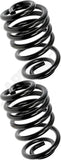 APDTY 144393 Coil Springs