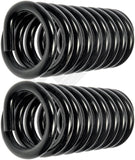 APDTY 144394 Coil Springs