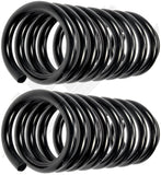 APDTY 144395 Coil Springs