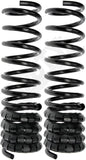 APDTY 144400 Coil Springs