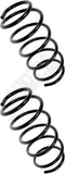 APDTY 144411 Coil Springs