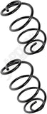 APDTY 144412 Coil Springs Replaces 9787043, 9787261