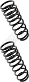 APDTY 144416 Coil Springs