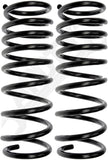APDTY 144416 Coil Springs