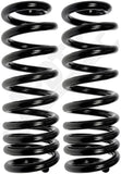 APDTY 144424 Coil Springs