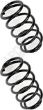 APDTY 144430 Coil Springs
