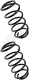 APDTY 144431 Coil Springs