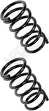 APDTY 144433 Coil Springs Replaces 4823142030, 4823142032