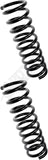 APDTY 144435 Coil Springs Replaces 3874716, 3874717