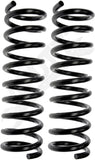 APDTY 144435 Coil Springs Replaces 3874716, 3874717