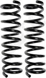 APDTY 144435 Coil Springs Replaces 3874716, 3874717