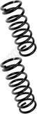 APDTY 144438 Coil Springs Replaces 48231AE014, 48231AE021