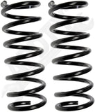 APDTY 144438 Coil Springs Replaces 48231AE014, 48231AE021