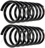 APDTY 144438 Coil Springs Replaces 48231AE014, 48231AE021