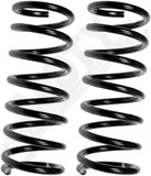 APDTY 144438 Coil Springs Replaces 48231AE014, 48231AE021
