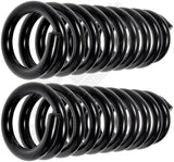APDTY 144439 Coil Springs Replaces DM1912345